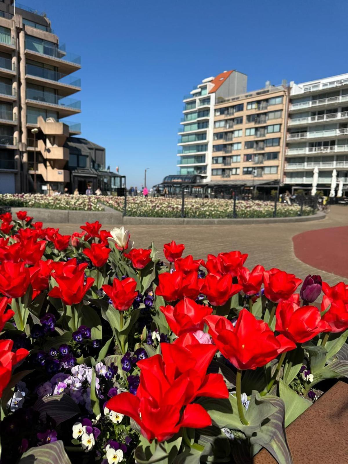 Luxe Studio/Suite Met Zeezicht En Volle Zon Knokke-Heist Dış mekan fotoğraf