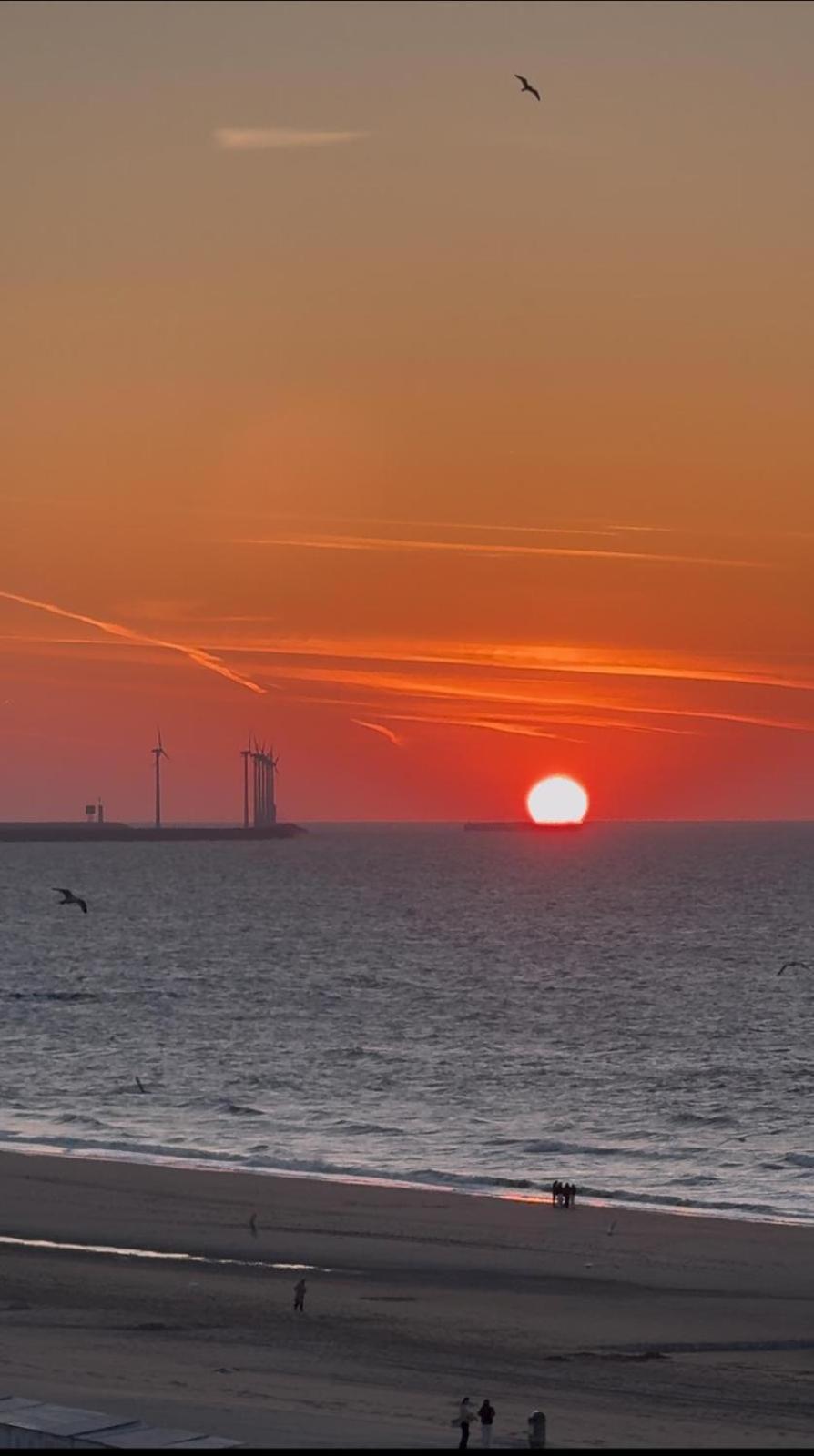 Luxe Studio/Suite Met Zeezicht En Volle Zon Knokke-Heist Dış mekan fotoğraf